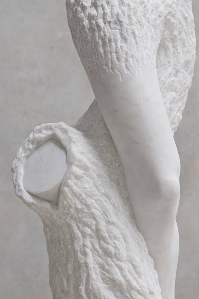 Stephen Ralph, More dust - knee view