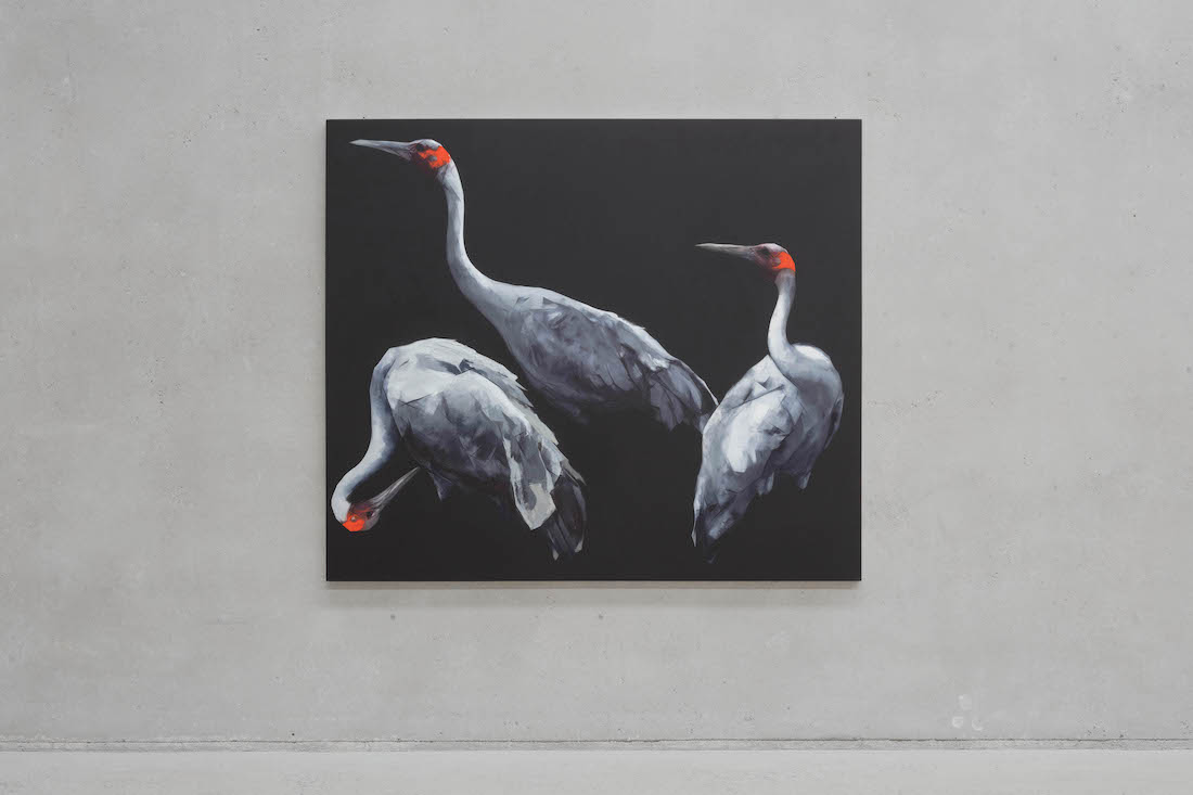 Nigel Milsom, Judo-House part 10 (plain crazy), cat. 2 — installation view