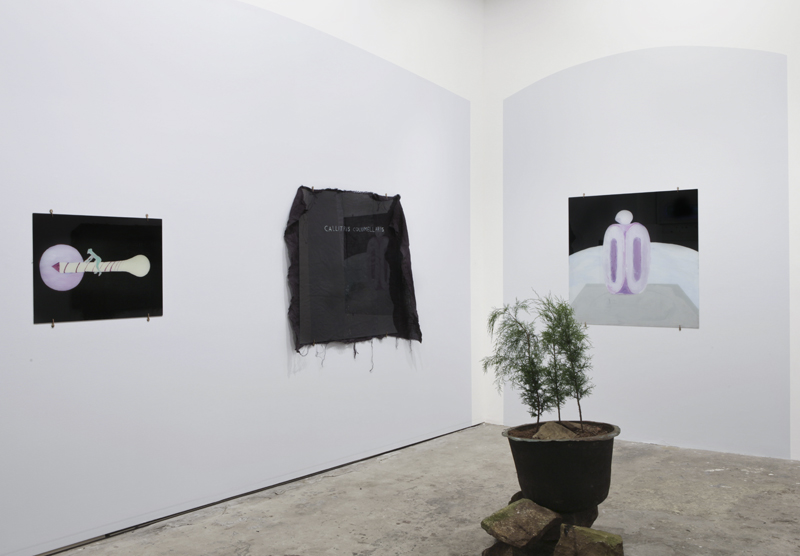 Clare Milledge: Theoretical Regression: A Warm Sheen Against Received Ideas