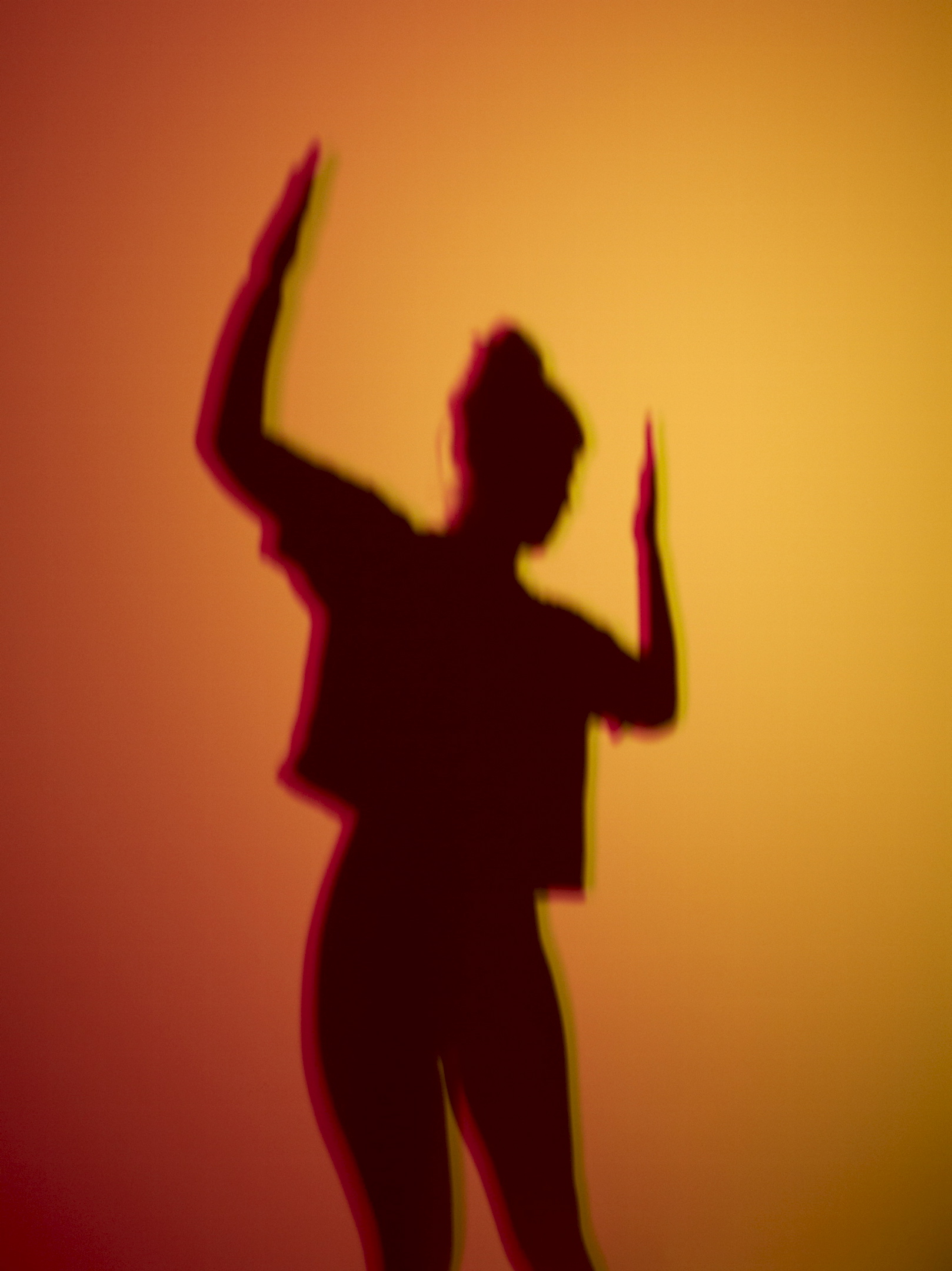 Agatha Gothe-Snape, Inexhaustible Present, 2013