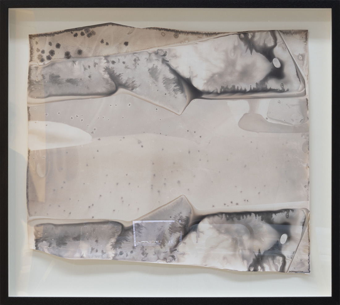 Amanda Williams, Ch 1/5/19 “Pale clouded white”, 2019