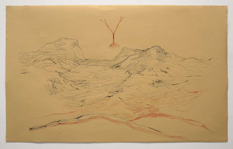 Clare Milledge, Warragamba, 2012