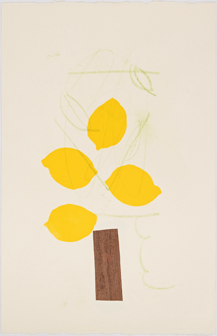 Mitch Cairns, TASTE 11, 2019