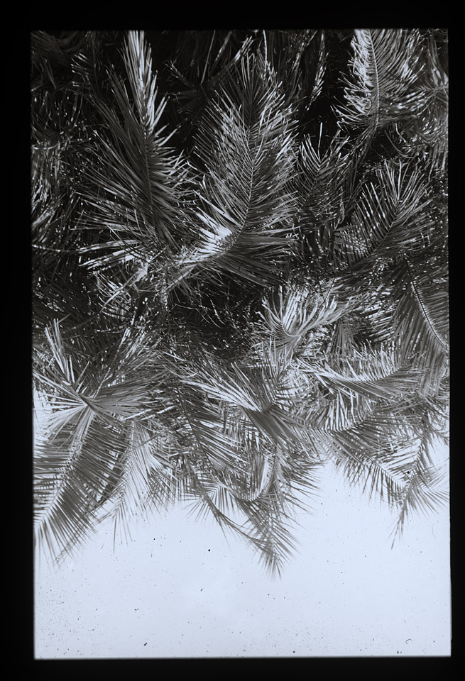 Gunter Christmann, SYDNEY - 64/80, 1974