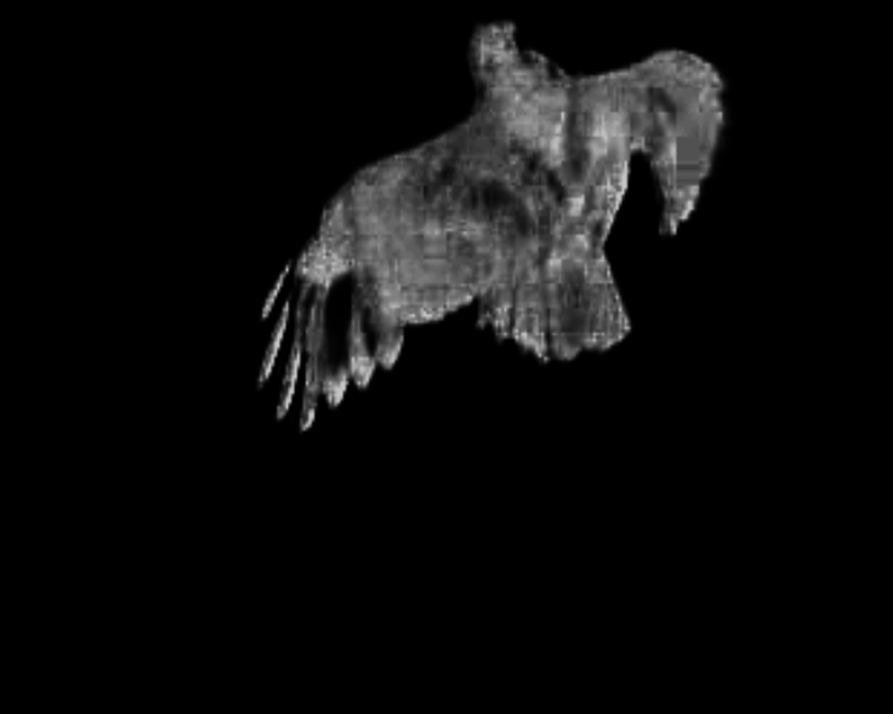 Nigel Milsom, Hawks and Doves, 2007