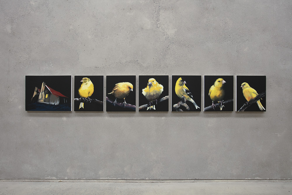 installation view: Nigel Milsom - Judo-House part 9 (birdland), at The Commercial, Sydney, 2021