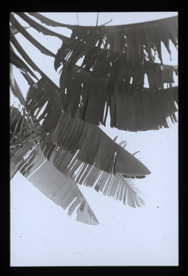 Gunter Christmann, SYDNEY - 60/80, 1974