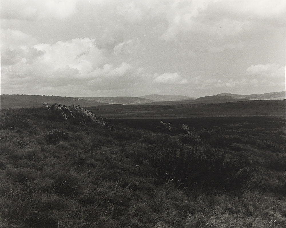 Amanda Williams, High Plains Kosciuszko National Park Wolgalu/Ngarigo Country (4417/7), 2019