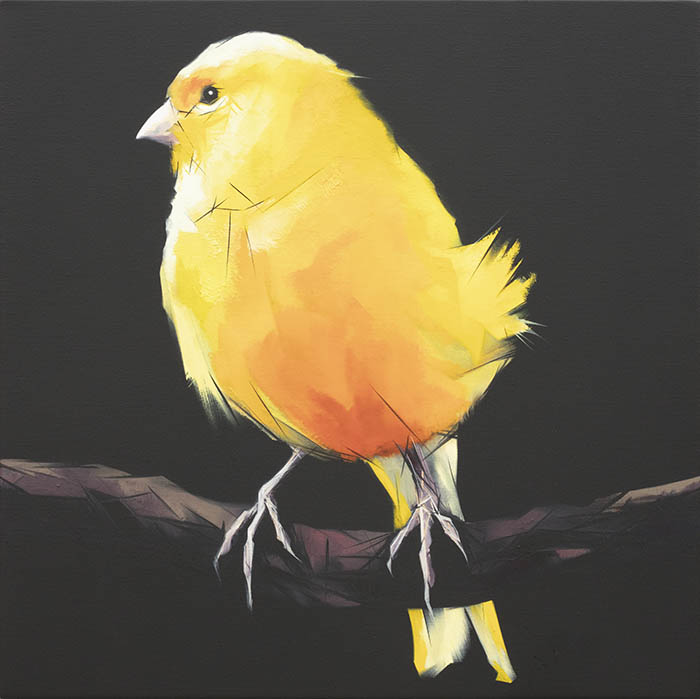 Nigel Milsom, Judo-House part 9 (birdland), 2021