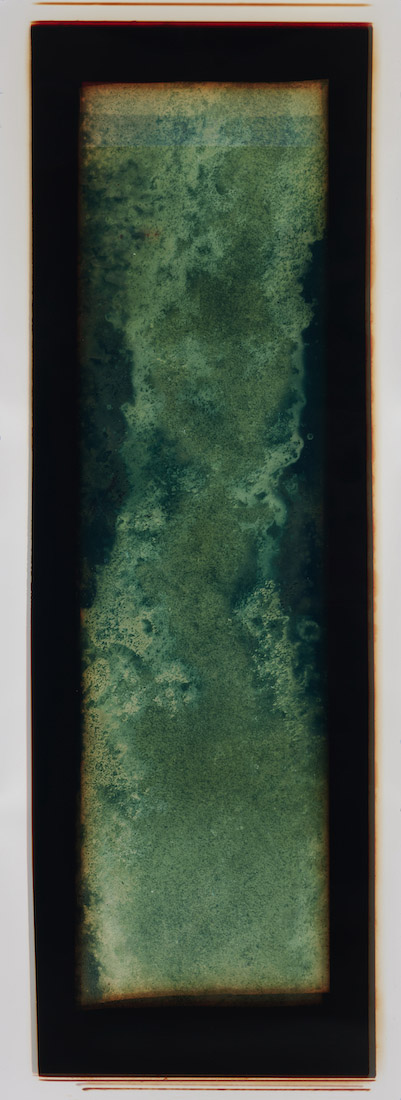 Amanda Williams, Chemigram experimental eucalypt plantation (version 2) 2, 2023