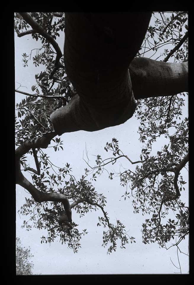 Gunter Christmann, SYDNEY - 46/80, 1974