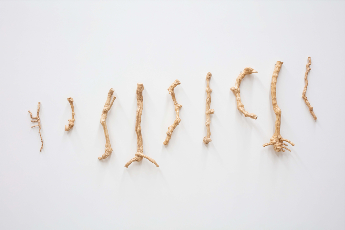 Yasmin Smith, Terroir, 2020