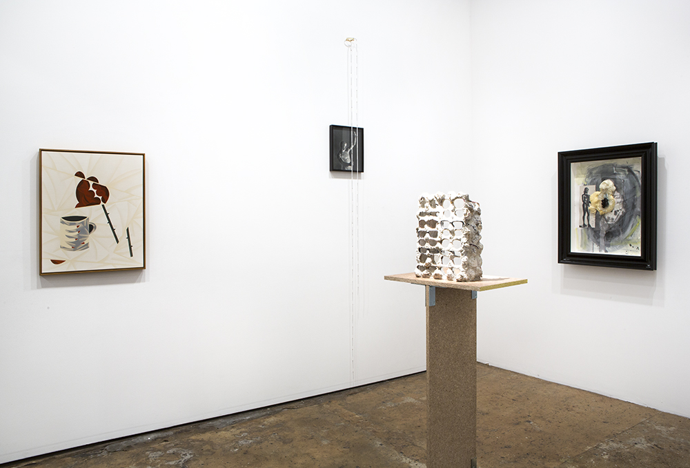installation view: TPOLR - Cairns, Gothe-Snape, Milledge, Pulie, Teague, 2015, at The Commercial Gallery, Sydney