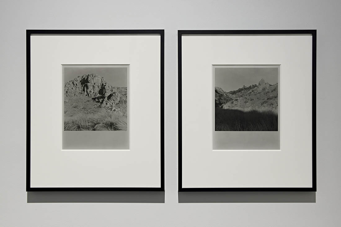 installation view: Ten Years at The Commercial - showing Amanda Williams