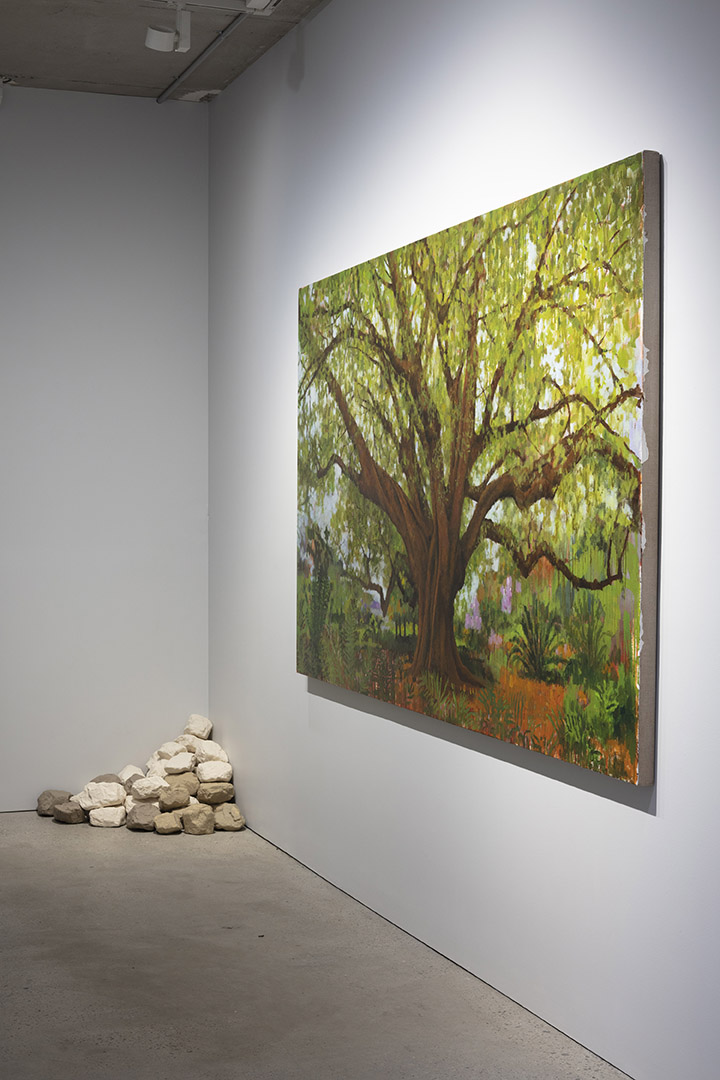 installation view: Yasmin Smith — Forest, at The Commercial, Sydney, 2022 | hallway view with Jude Rae, The white fig (Ficus virens), Royal Botanic Garden, Sydney (2022)