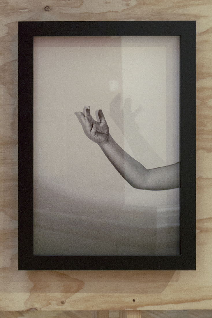 installation view: Amanda Williams, Or your shadow, rising to meet you, 2020, in Archie Plus, Art Gallery of New South Wales, Sydney