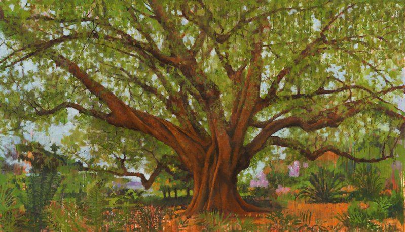 Jude Rae, The white fig (Ficus virens), Royal Botanic Garden, Sydney, 2022