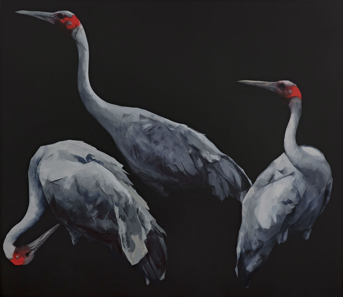 Nigel Milsom, Judo-House part 10 (plain crazy), 2023