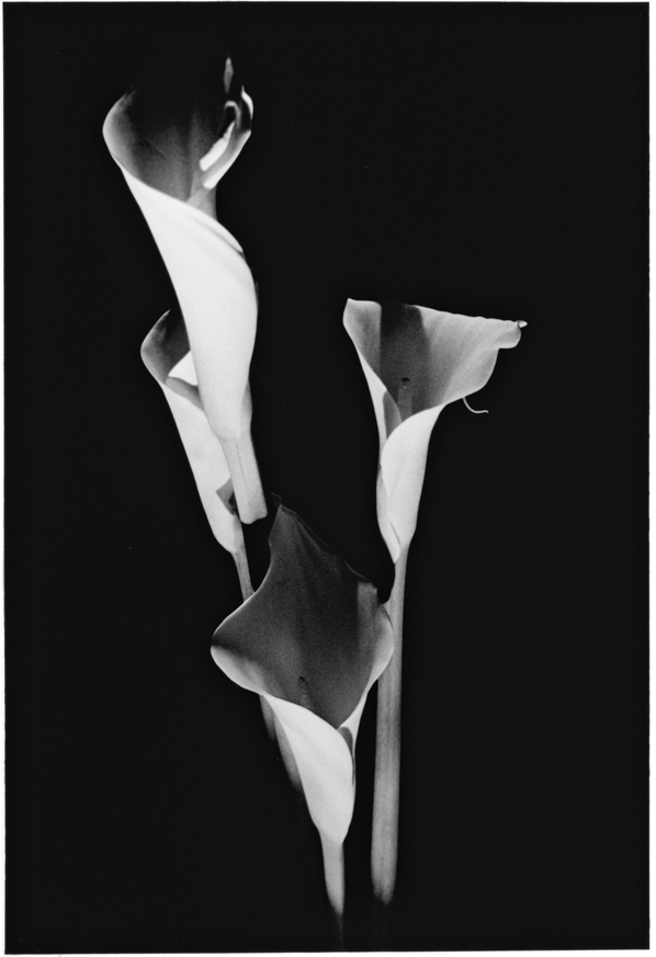 Michael Riley, Untitled VIII, 1992