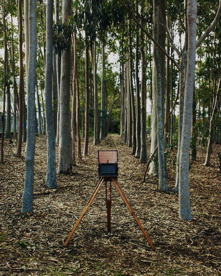 Amanda Williams, Avenues (stereoscope) 3, 2023