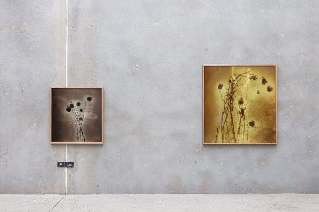 installation view: Amanda Williams — On the Action of the Rays of the Solar Spectrum, at The Commercial, Sydney, 2023