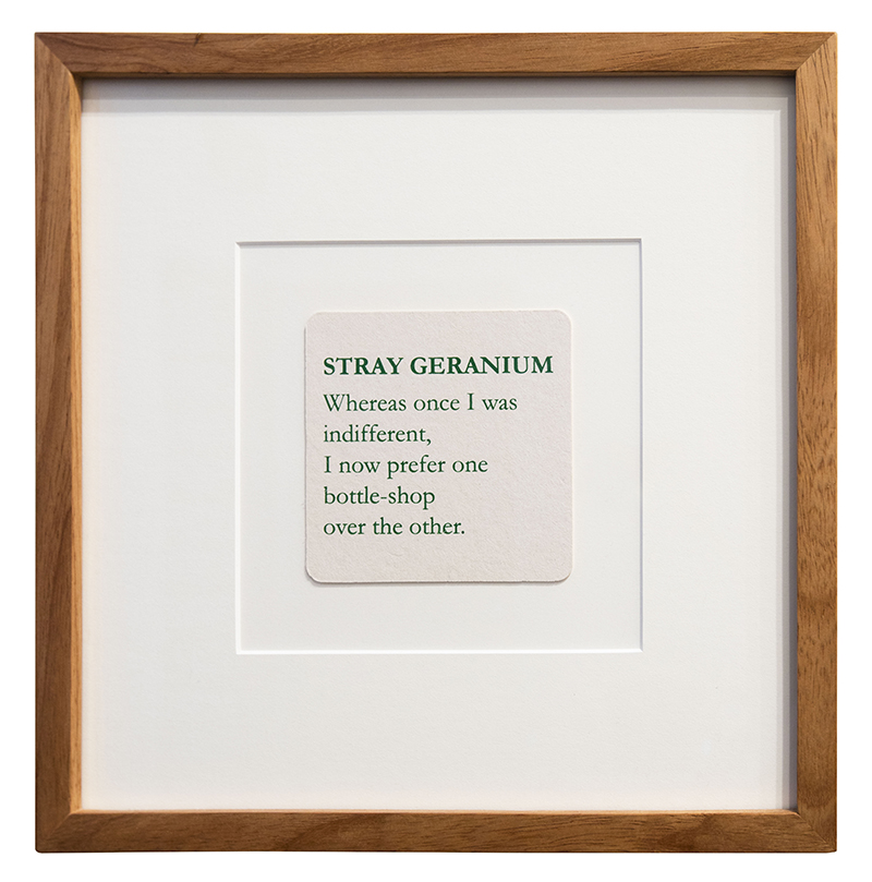 Mitch Cairns, Stray Geranium, 2016