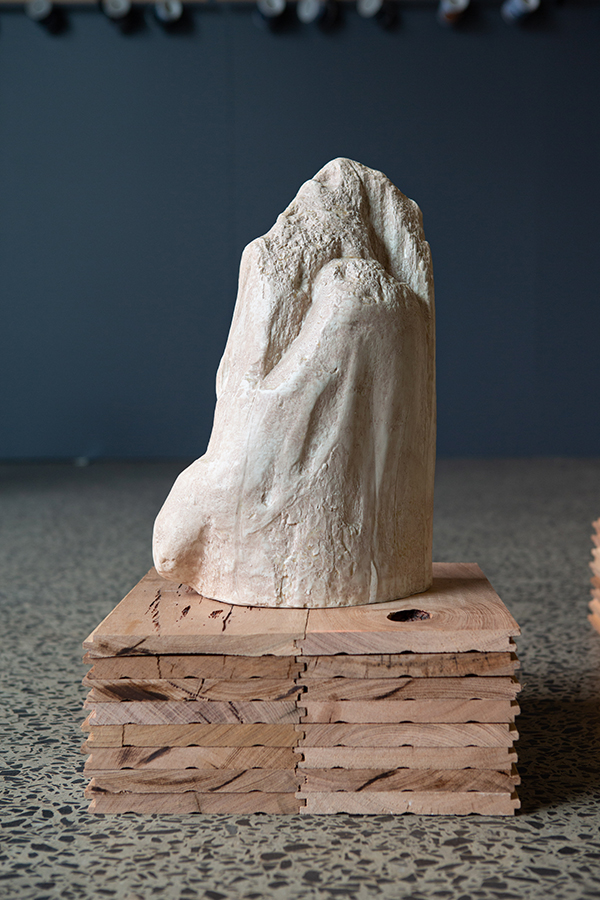Yasmin Smith, Twin Stumps, 2019 - Hydrowood Celery Top Pine detail