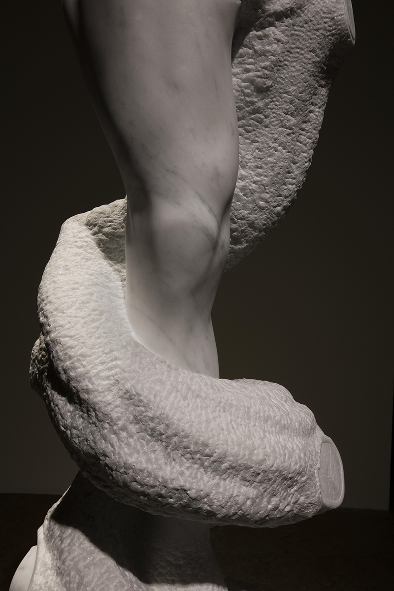 Stephen Ralph, Stardust (front detail)