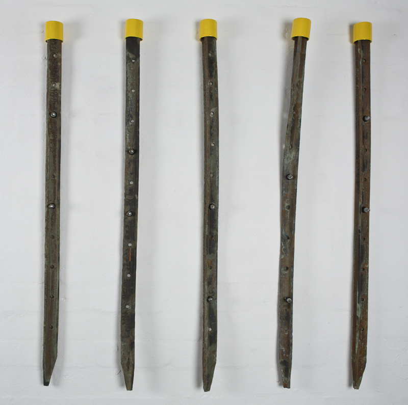 Yasmin Smith, Star Picket, 2012