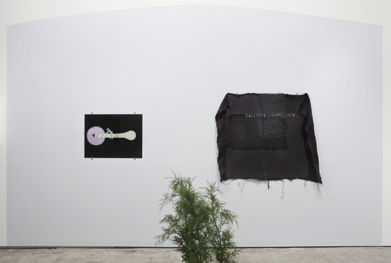 Clare Milledge: Theoretical Regression: A Warm Sheen Against Received Ideas