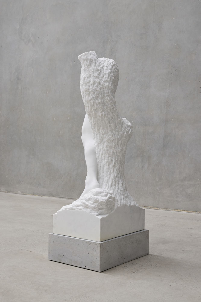 Stephen Ralph, More dust - back angle view